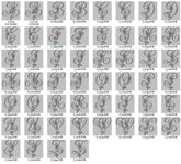 Elegant Floral Monogram Alphabet Embroidery Pack – Full A-Z Collection - FineryEmbroidery